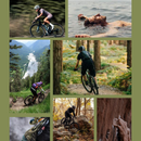 Ambientador Imao Sport "Altitude Sauvage"