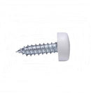 Tornillos Matrícula con Tapa Blanca (Pack de 100)