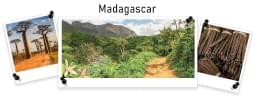 Ambientador Imao Bajo el Sol de Madagascar