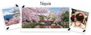 Ambientador Imao Primavera en Tokio